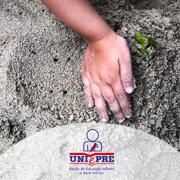 Educação Infantil destaque