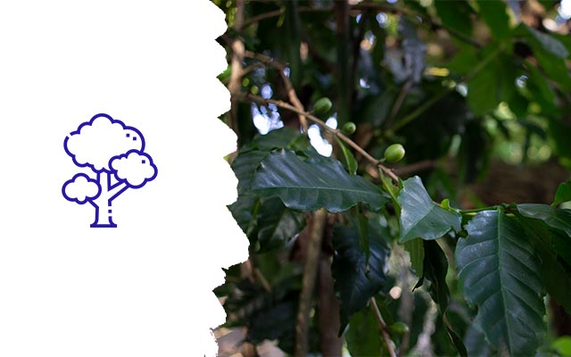 escola de educacao infantil uniepre unidade cantareira - bosque