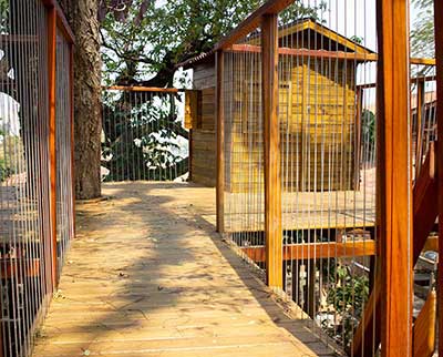 Casinha da árvore - Escola Uniepre