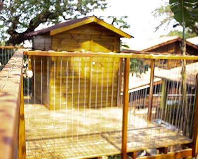 Casinha da árvore - Escola Uniepre