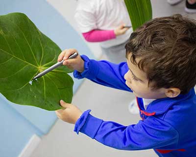 Criança explorando recurso natural - Educação Infantil Uniepre