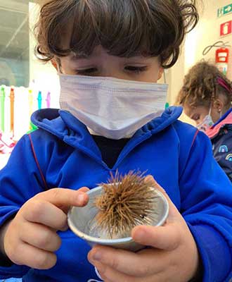 Crianças explorando objeto natural - Educação Infantil Uniepre