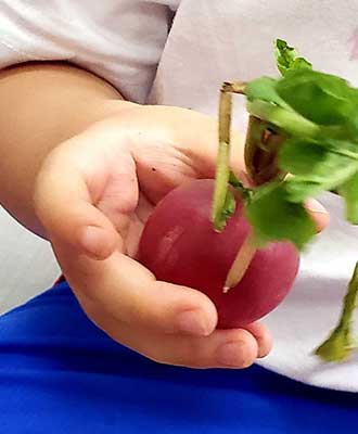 Criança explorando elemento natural - Educação Infantil Uniepre